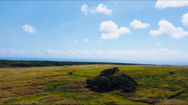 Undisclosed, Naalehu, HI 96772