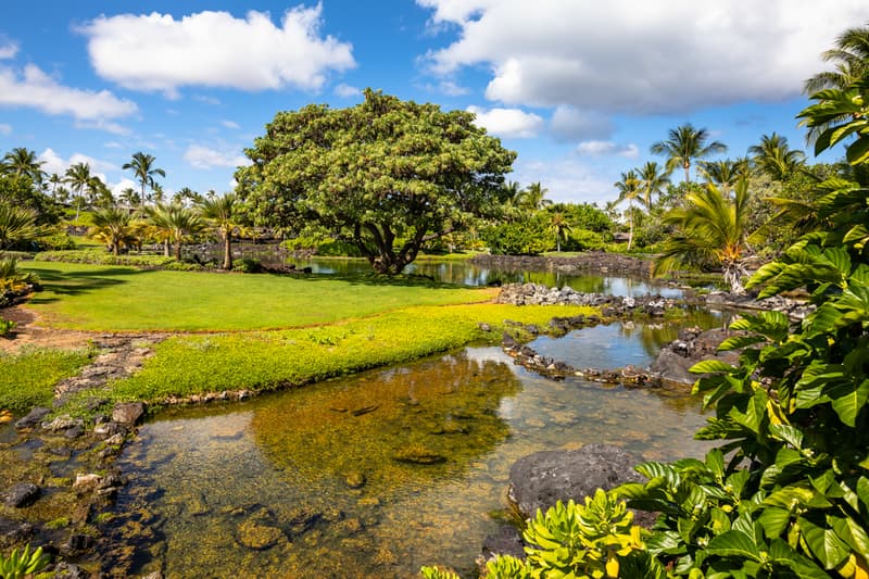 72-121 LEI KAUNAOA PL #C21, Kailua Kona, HI 96740