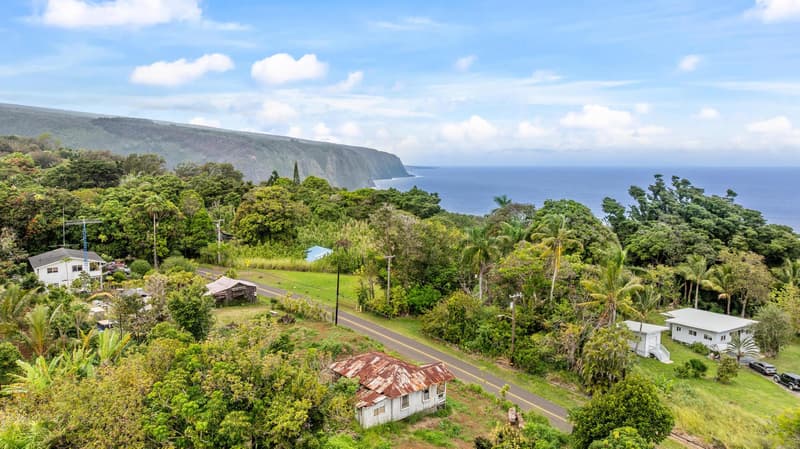 48-5399 KUKUIHAELE RD, Honokaa, HI 96727
