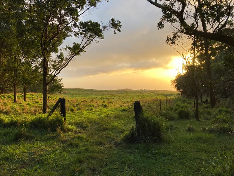 95-3970 HALEMAUNA ROAD, Naalehu, HI 96772