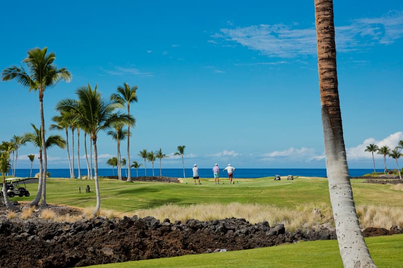 69-1033 NAWAHINE PL #8B, Waikoloa, HI 96738