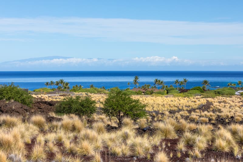 72-3230 ALAPII KULA PL, Kailua-Kona, HI 96740