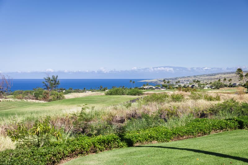 62-3628 LOLII WAY #G2, Kamuela, HI 96743