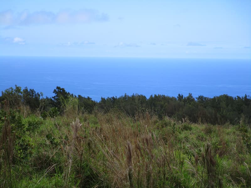 36-660 SPENCER RD, Laupahoehoe, HI 96764
