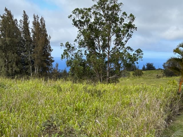 PALIKEKUA ST, Honokaa, HI 96727