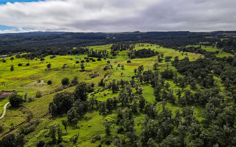 43-1831 MANIENIE RD, Paauilo, HI 96776