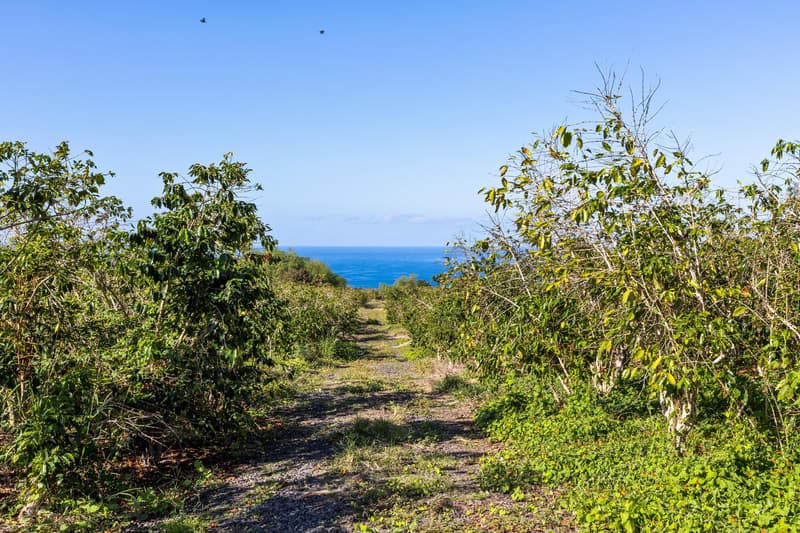 82-1177 MELI RD, Captain Cook, HI 96704