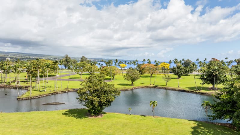 101 HILO LAGOON CENTRE #602, Hilo, HI 96720