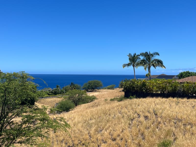 59-105 HAHALUA PL, Kamuela, HI 96743