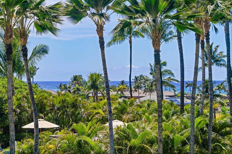 69-1010 KEANA PL #C206, Waikoloa, HI 96738