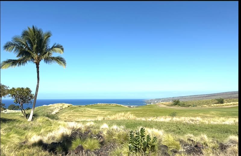 62-3600 AMAUI PLACE #J101, Kamuela, HI 96743