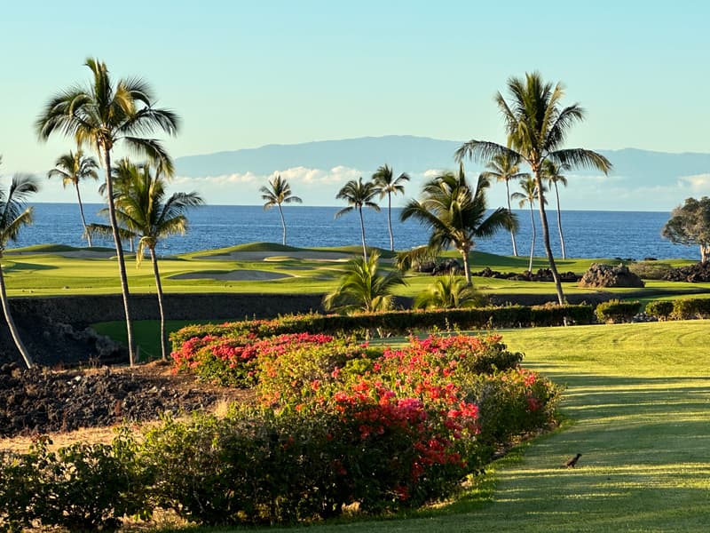 68-1050 MAUNA LANI POINT #E103, Kamuela, HI 96743
