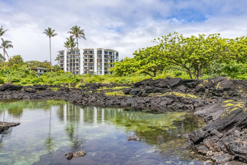 1911 KALANIANAOLE #301, Hilo, HI 96720