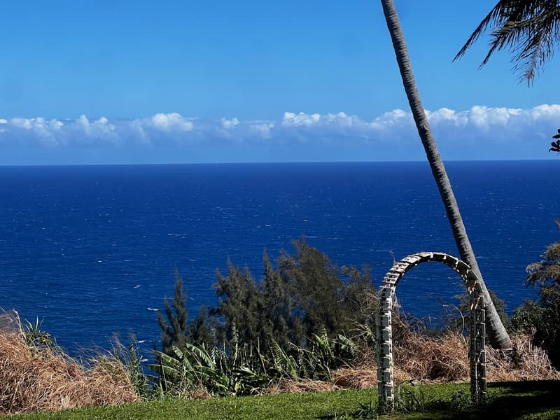 39-3296 OLD MAMALAHOA HWY, Ookala, HI 96774