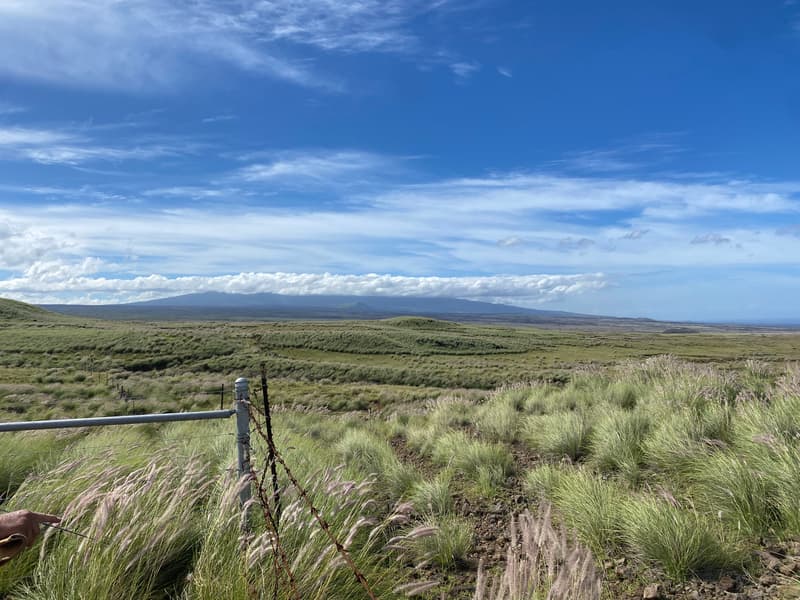 Undisclosed, Kamuela, HI 96743
