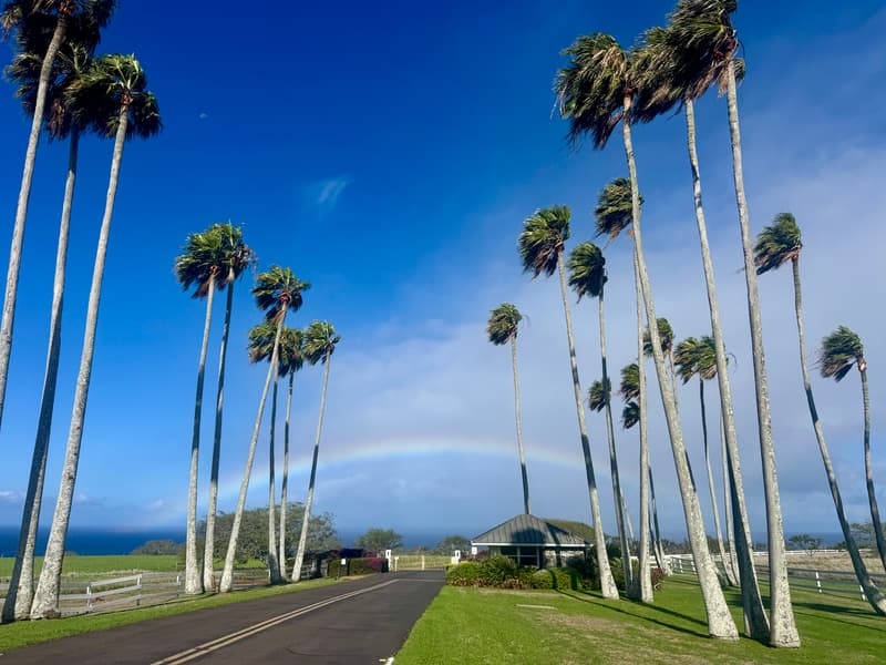 56-2891 HALEAKALA VIEW PL, Hawi, HI 96719
