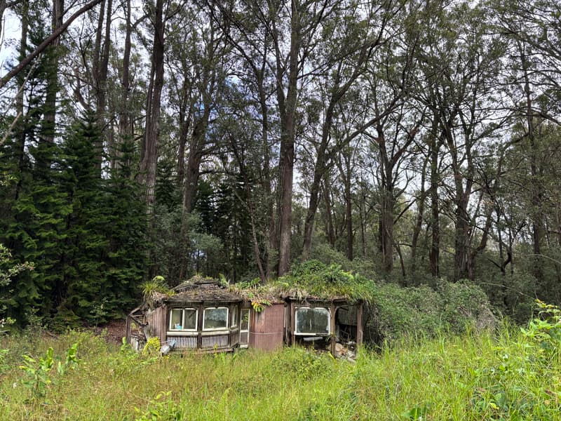 46-3989 KAPUNA RD, Honokaa, HI 96727