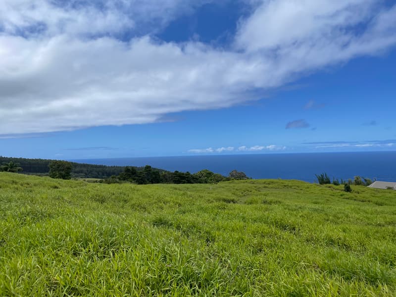 KAMALANI RD, Laupahoehoe, HI 96764