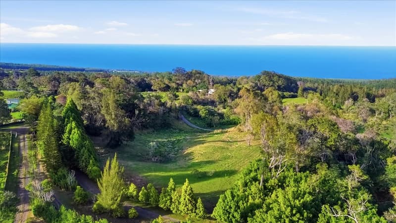43-729 ANTONE DE LUZ RD, Paauilo, HI 96776