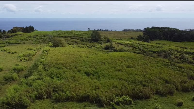 1-3 PRIVATE RD, Hakalau, HI 96710