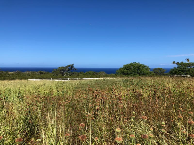 56-2981 PUAKEA BAY DR, Hawi, HI 96719