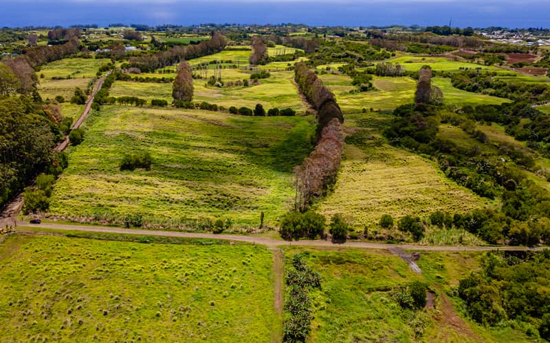 28-583 KAUPAKUEA HOMESTEAD RD, Pepeekeo, HI 96783