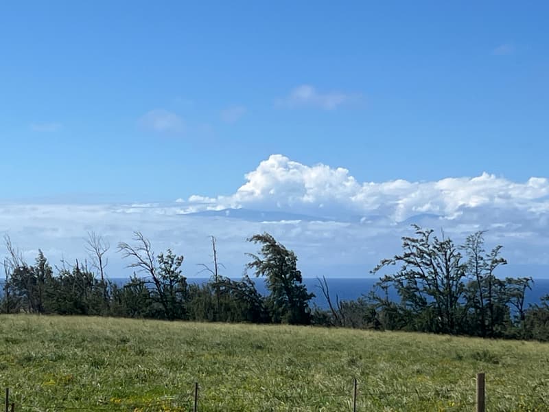 ULI RD #Lot 1, Hawi, HI 96719
