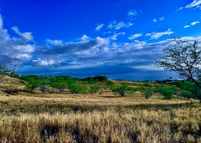 59-619 HOOPAI TRAIL, Kamuela, HI 96743