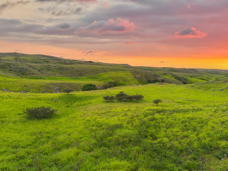 Undisclosed, Kamuela, HI 96743