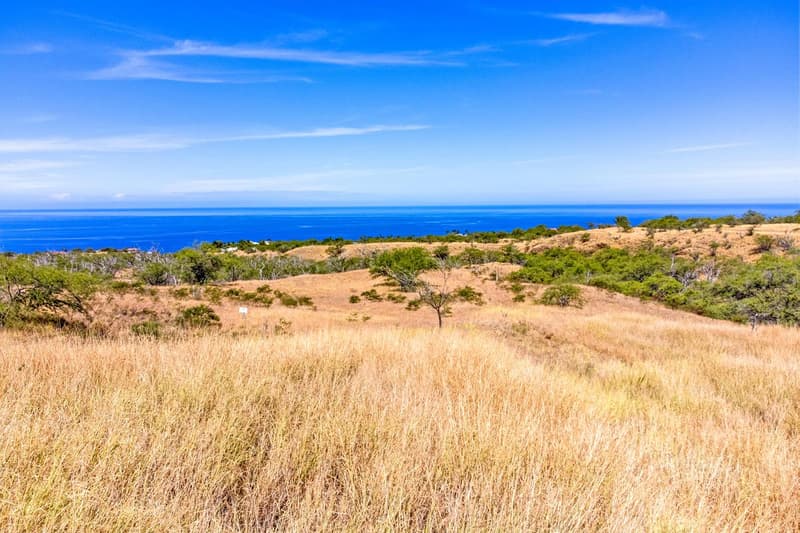 HOOPAI TRAIL, Kamuela, HI 96755