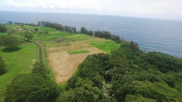 Undisclosed, Pepeekeo, HI 96783