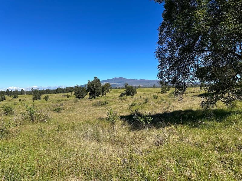 11-D, Kealakekua, HI 96725