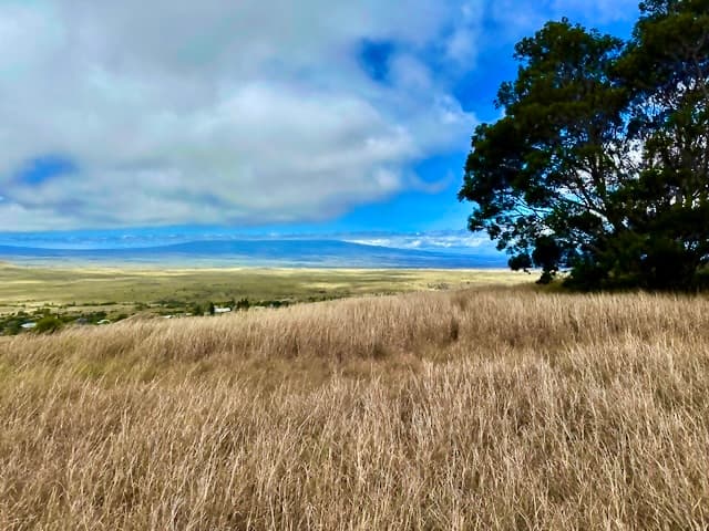62-1750 OHIAKU PL, Kamuela, HI 96743