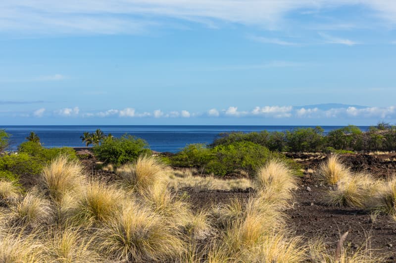 72-3128 ALAPII KULA DR, Kailua Kona, HI 96740