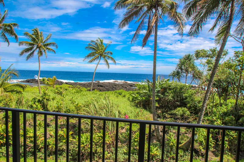 2405 KALANIANAOLE AVE #209, Hilo, HI 96720