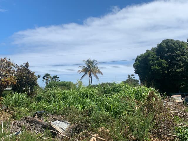45-109 PIKONIA LOOP, Honokaa, HI 96727