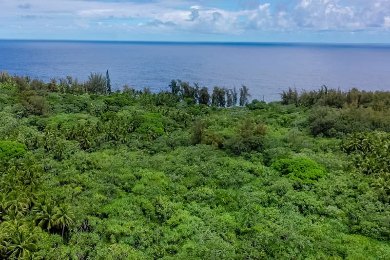 OLD GOVERNMENT RD, Pahoa, HI 96778