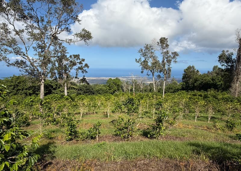 73-4245 HAWAII BELT RD, Kailua Kona, HI 96740