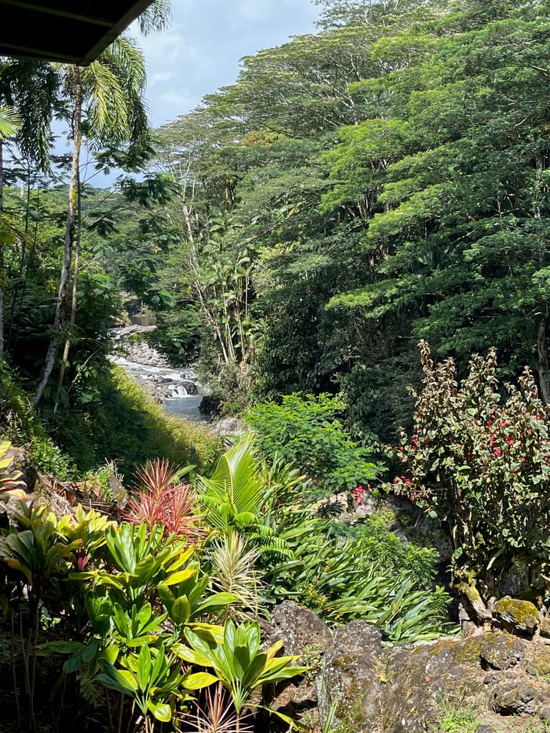 254 KAIULANI ST, Hilo, HI 96720