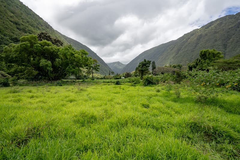 WAIPIO VALLEY RD, Honokaa, HI 96727