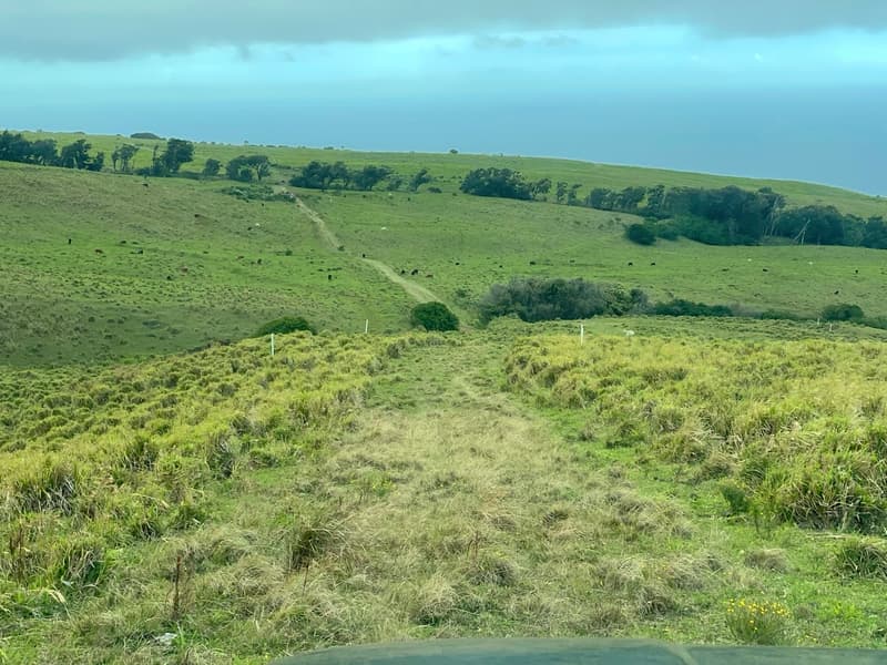 Mountain House Rd, Naalehu, HI 96772