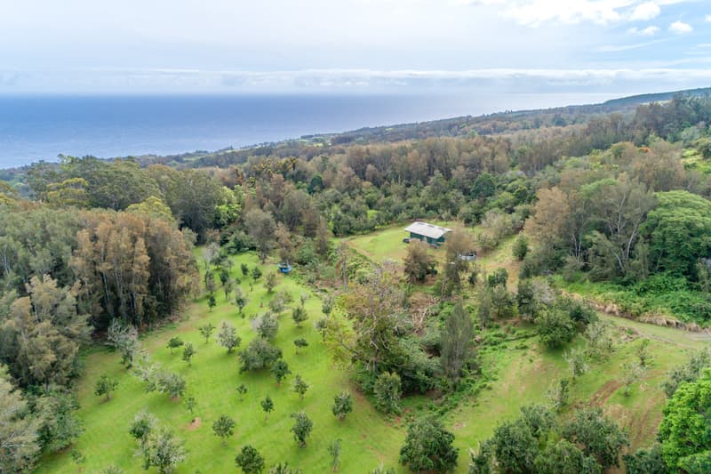 47-4630 CANE HAUL RD, Honokaa, HI 96727