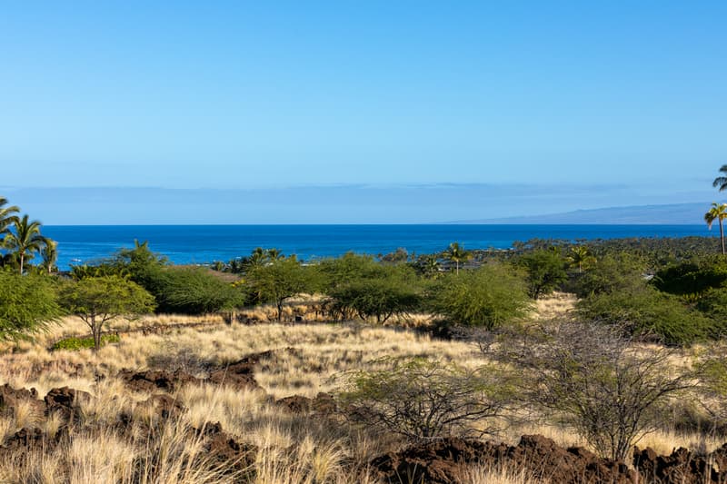72-3188 ALAPII KULA DR, Kailua-Kona, HI 96740