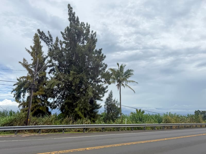 45-581 PIKAKE ST, Honokaa, HI 96727