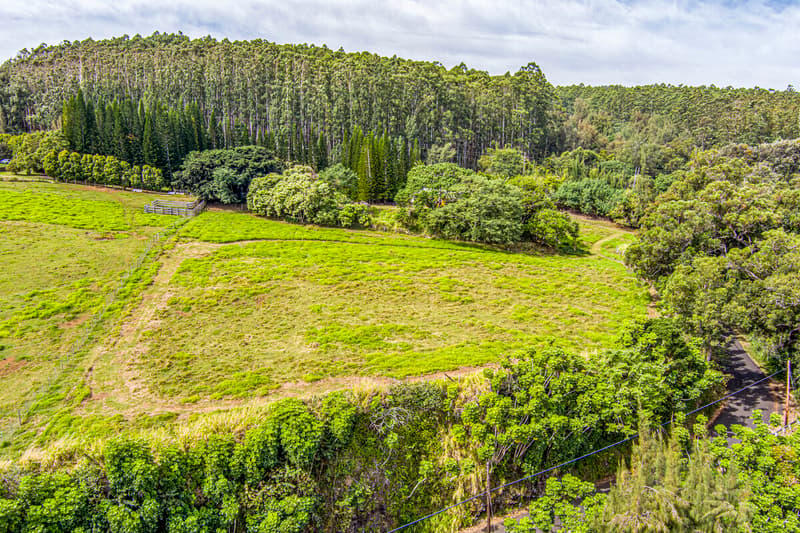 36-2615 LAUPAHOEHOE POINT RD, Laupahoehoe, HI 96774