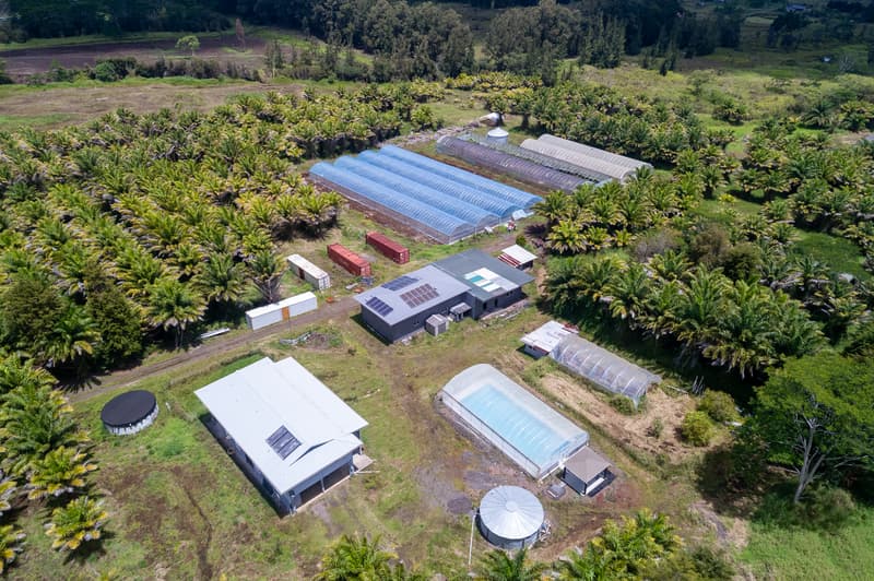 18-3840 S LAUKO RD, Mountain View, HI 96771