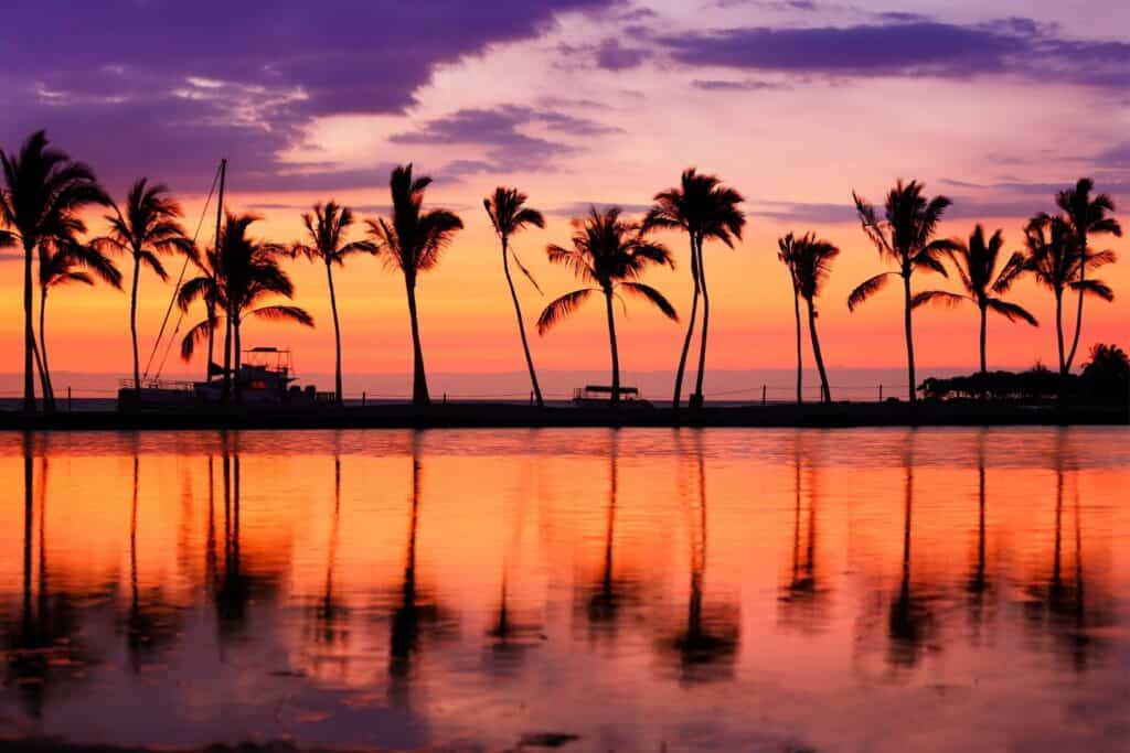 Luxury Kona and Kohala Coast oceanfront property with tropical palm trees and stunning sunset views.