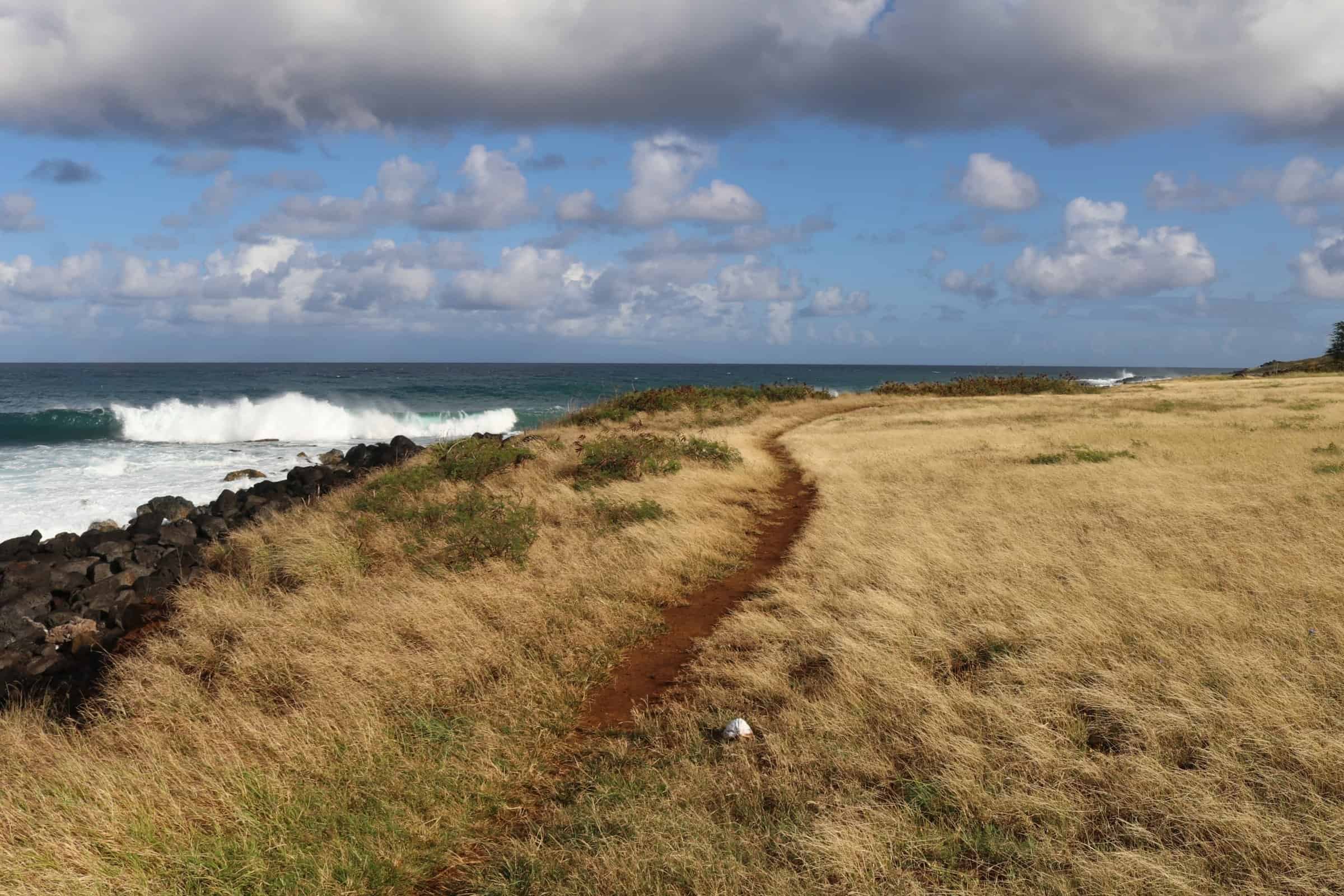 Oceanfront land on Big Island Hawaii near Kona and Kohala Coast, perfect for luxury estate developme.