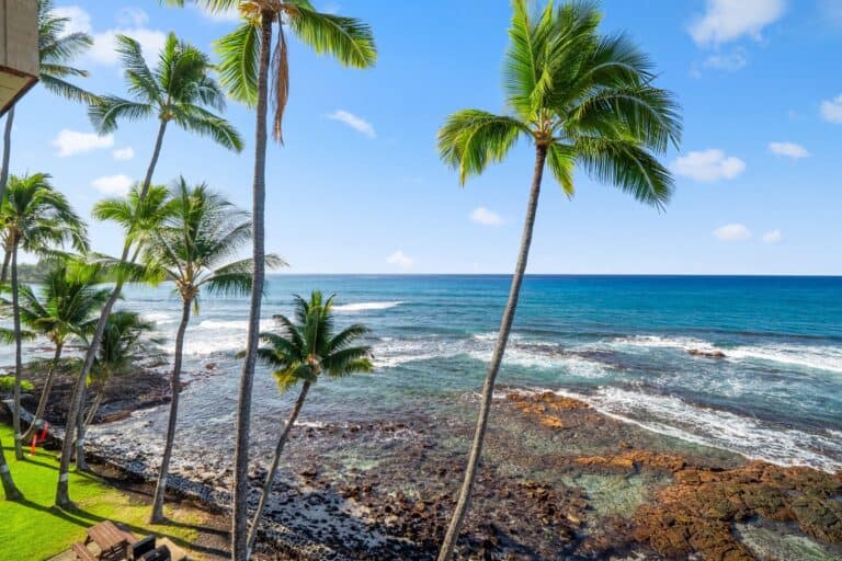 Oceanfront property in Kona with lush palm trees and coastal views.