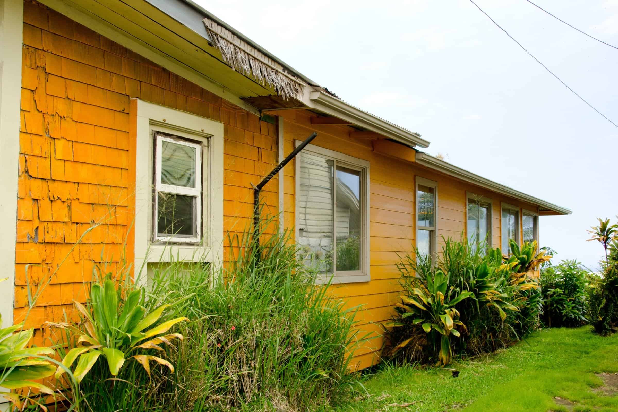 Charming Big Island Hawaii home in Kona with vibrant garden and island-inspired design.